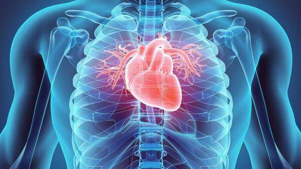 Prévention des endocardites infectieuses d’origine bucco-dentaire