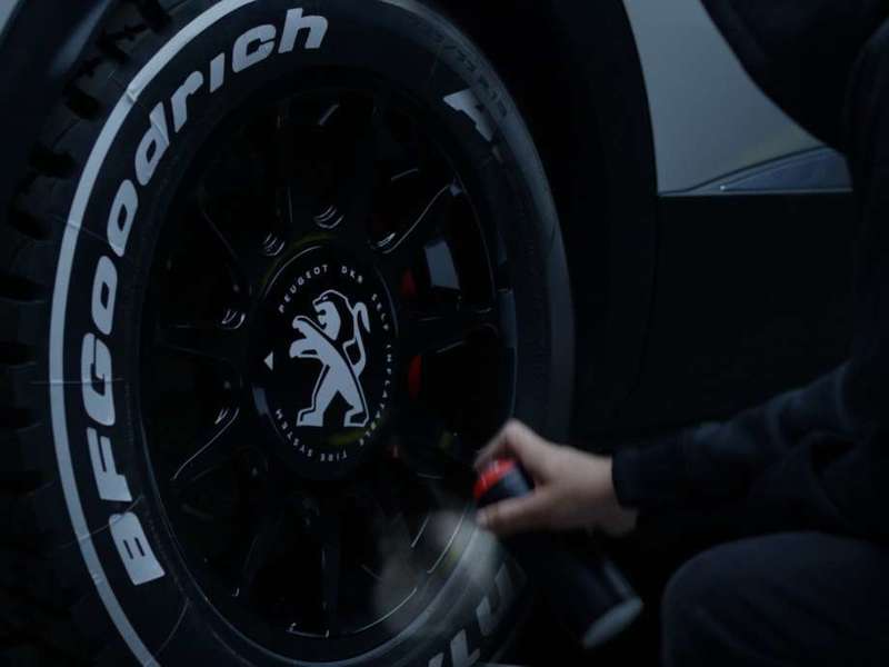 peugeot_red_bull_g_apres