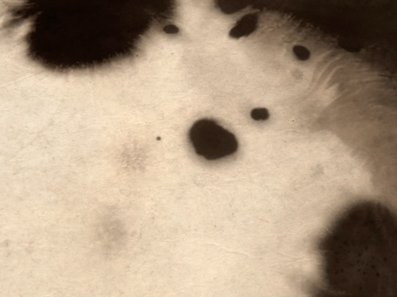 capture_d__cran_2019-10-15___23-51-30