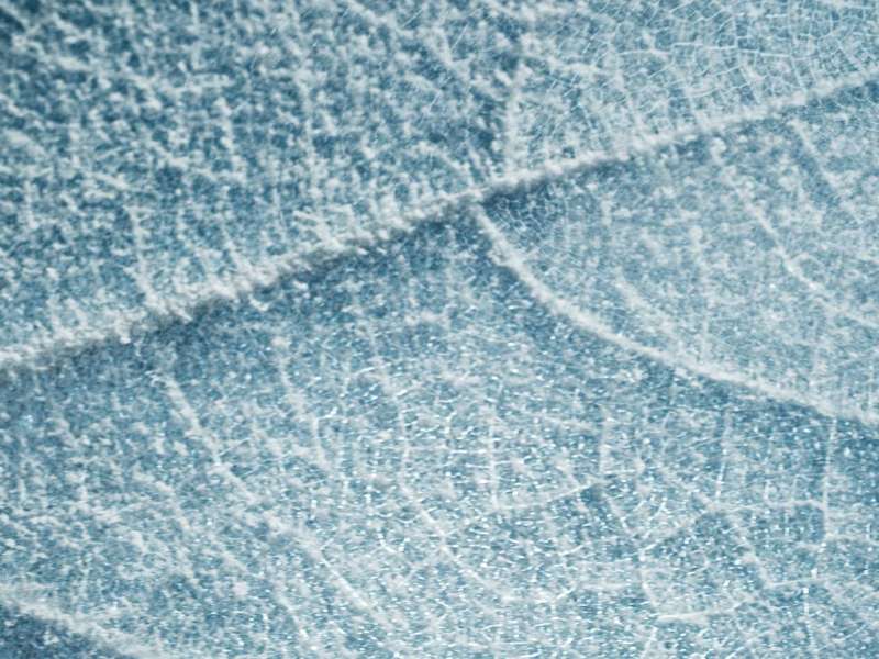 issey_miyake_hero_still-11