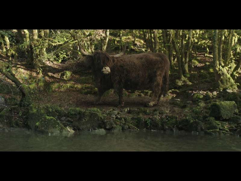 moah_s01_ep02_pl020_apres