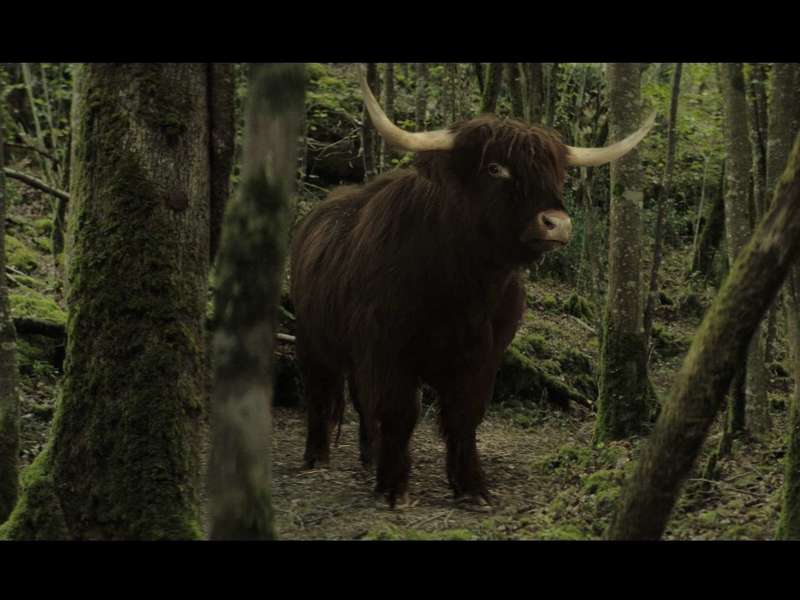 moah_s01_ep03_pl011_apres