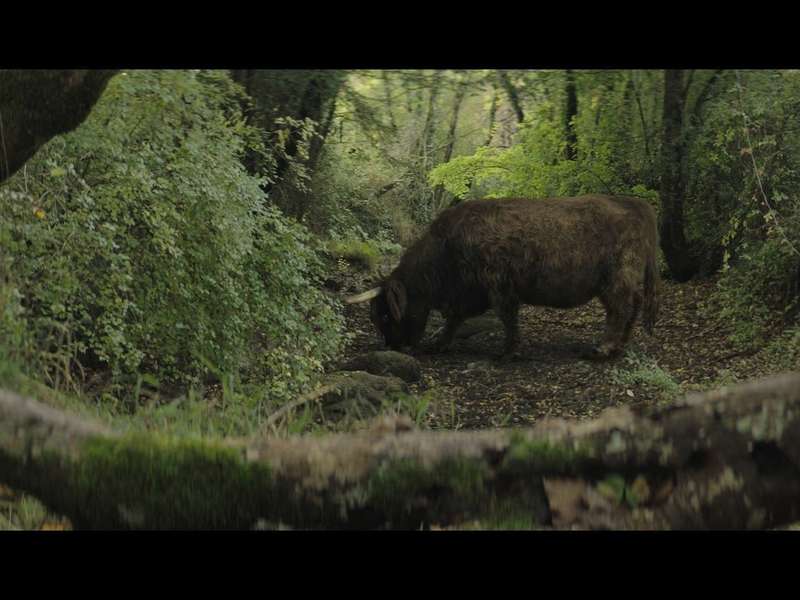 moah_s01_ep04_pl028_apres