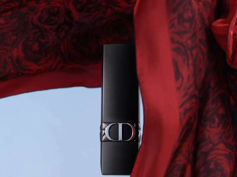 rouge_dior_plan_03