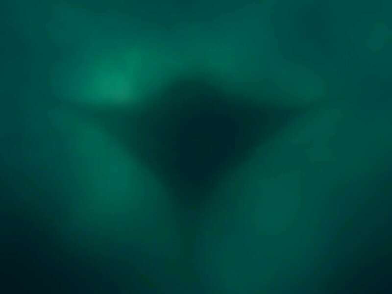 rayon_vert_best_image-10