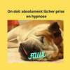 chien