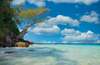 ile paradisiaque