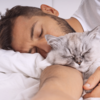  homme-qui-caline-un-chat sommeil-hypnose paris 14
