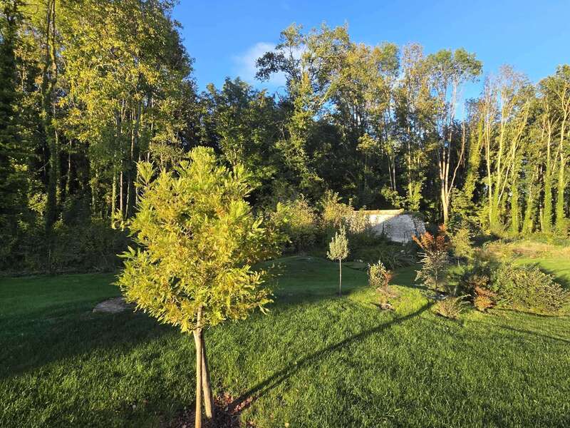 whatsapp_image_2025-09-21__19-04-45_d0a592bf20260202-944525-ca2s0n