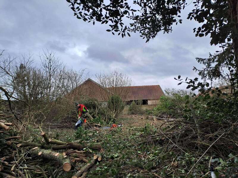 whatsapp_image_2026-01-24_at_07-29-07__2_20260202-960087-842270