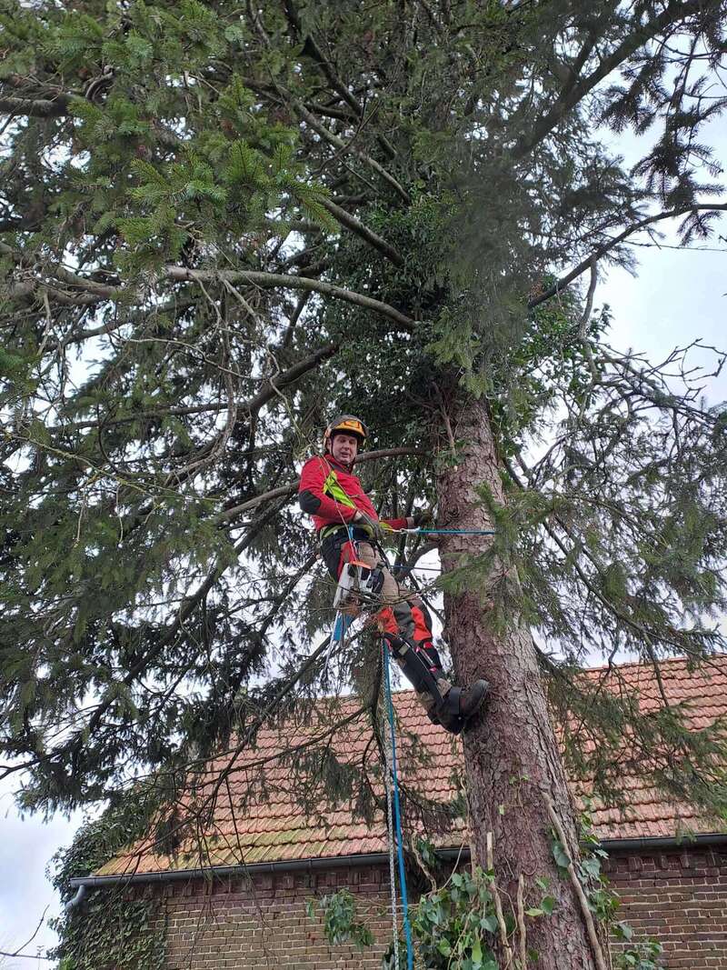 whatsapp_image_2026-01-24_at_07-29-0820260202-930651-ppf0s2