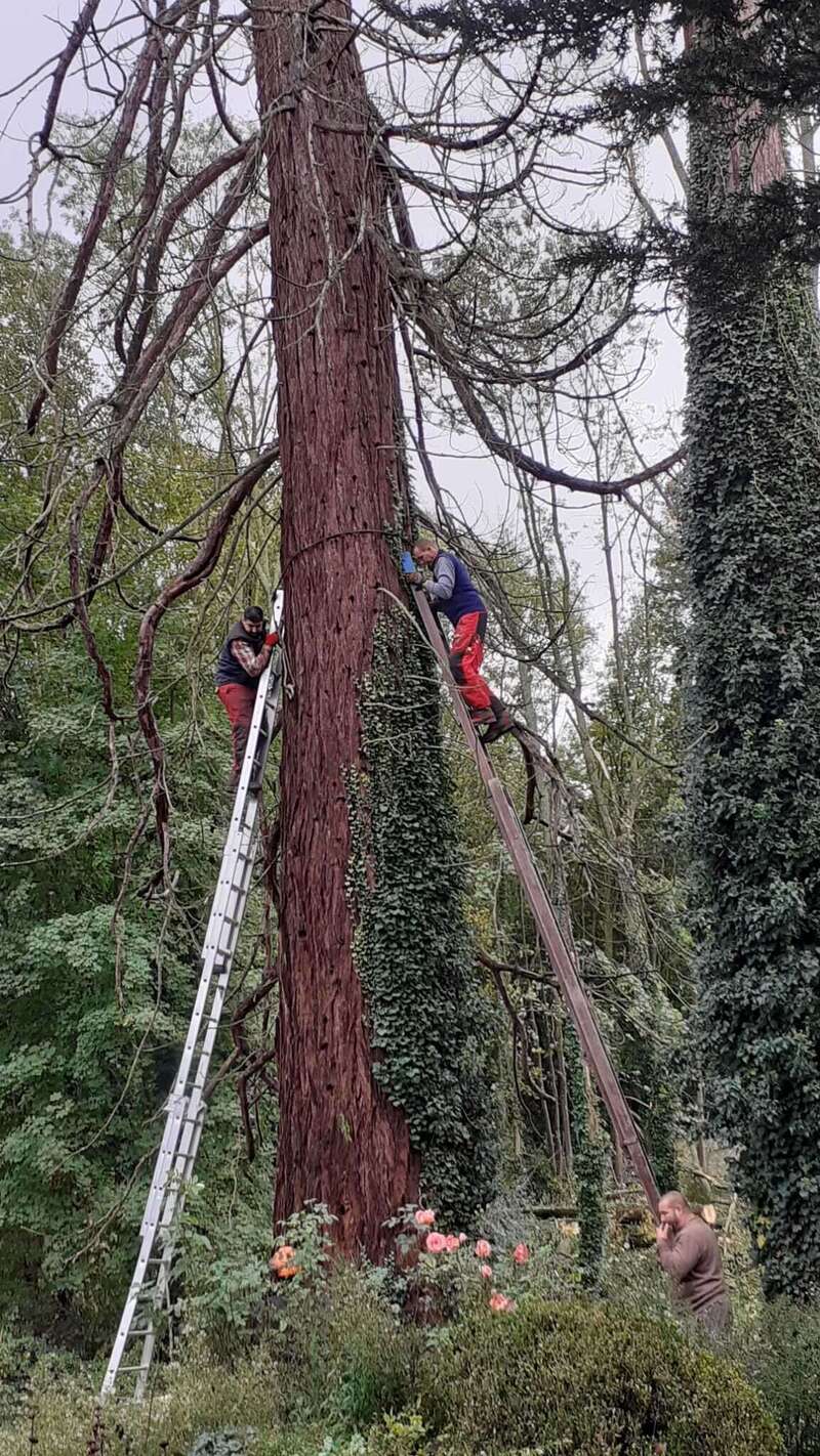 img-20250921-wa007120260202-930651-1dwnmx