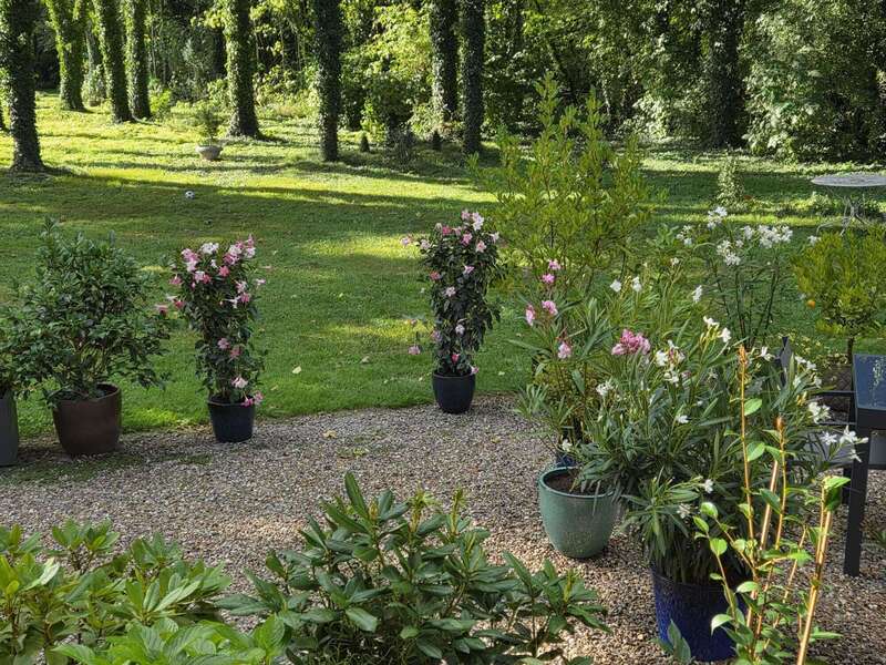 whatsapp_image_2026-01-04_at_11-32-40__1_20260202-955570-d06qcz