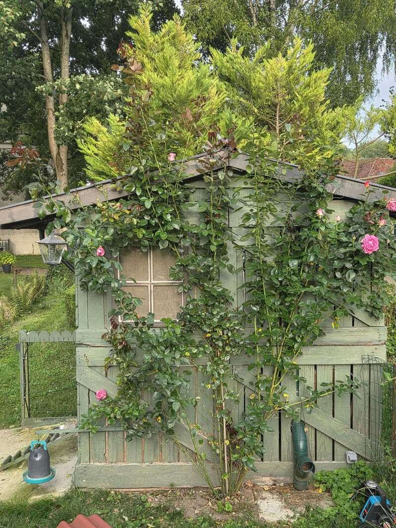 whatsapp_image_2026-01-04_at_11-32-40__2_20260202-965463-m5j1q0