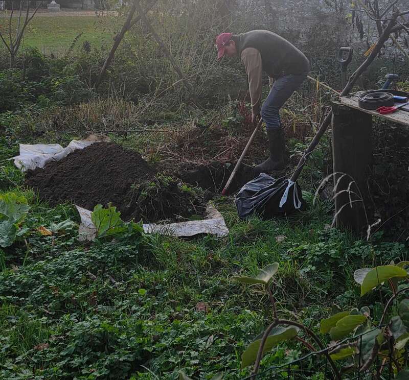 whatsapp_image_2026-01-04_at_11-32-38__1_20260202-984121-5hbptp