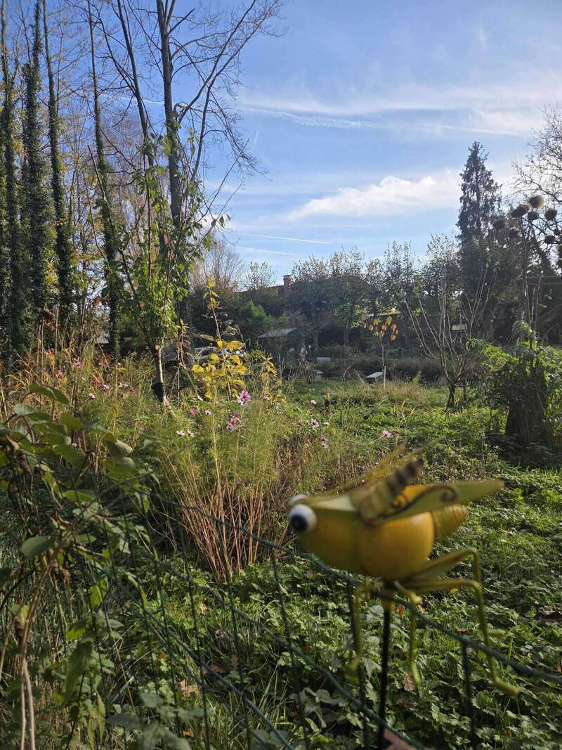 whatsapp_image_2026-01-04_at_11-32-38__2_20260202-938052-1z8jvb