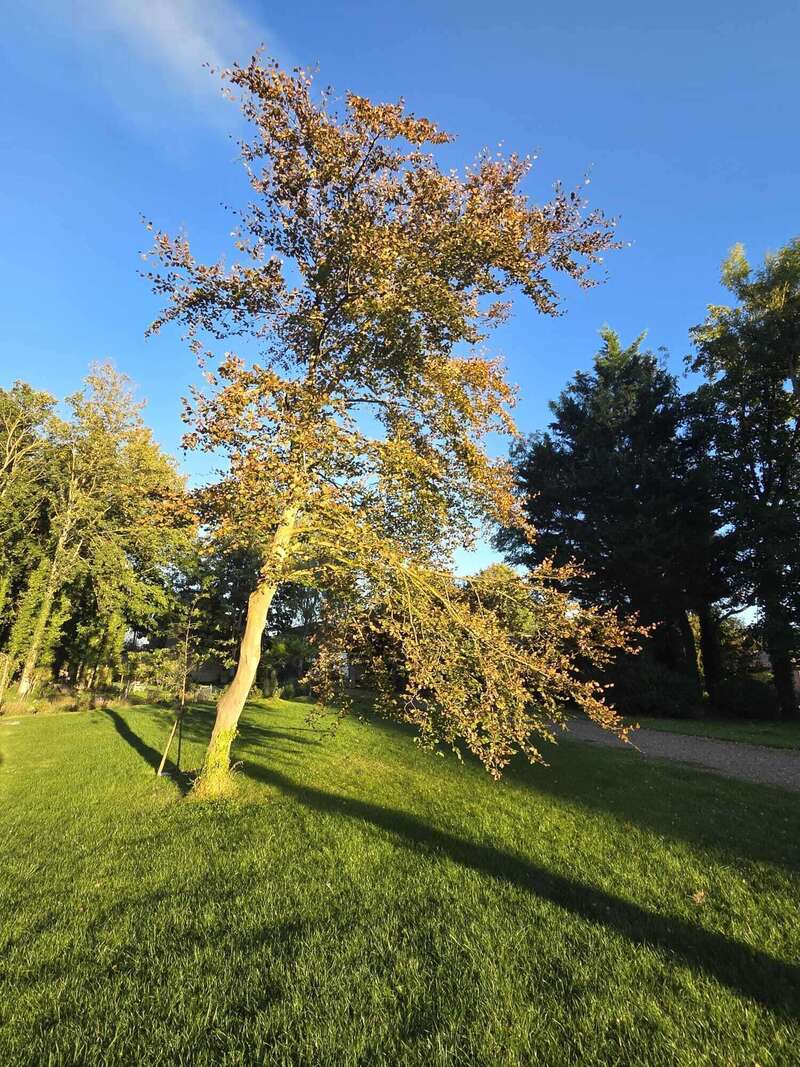 whatsapp_image_2025-09-21__19-04-43_acb1132d20260202-960087-4e5eq1