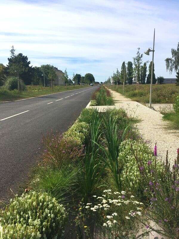 bretteville_sur_odon___quartier_koenig