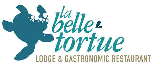 Logo La Belle Tortue