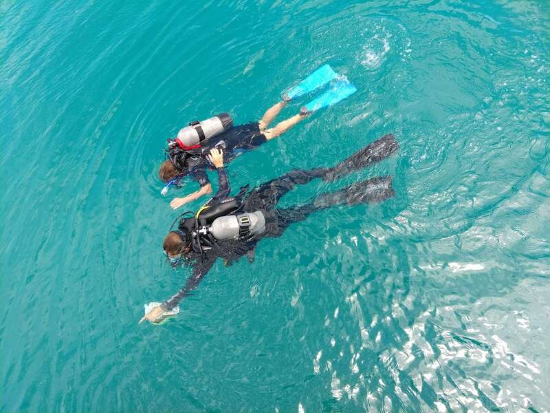 134c8830-da12-46a3-918d-3fc023f4891d-1_all_23946