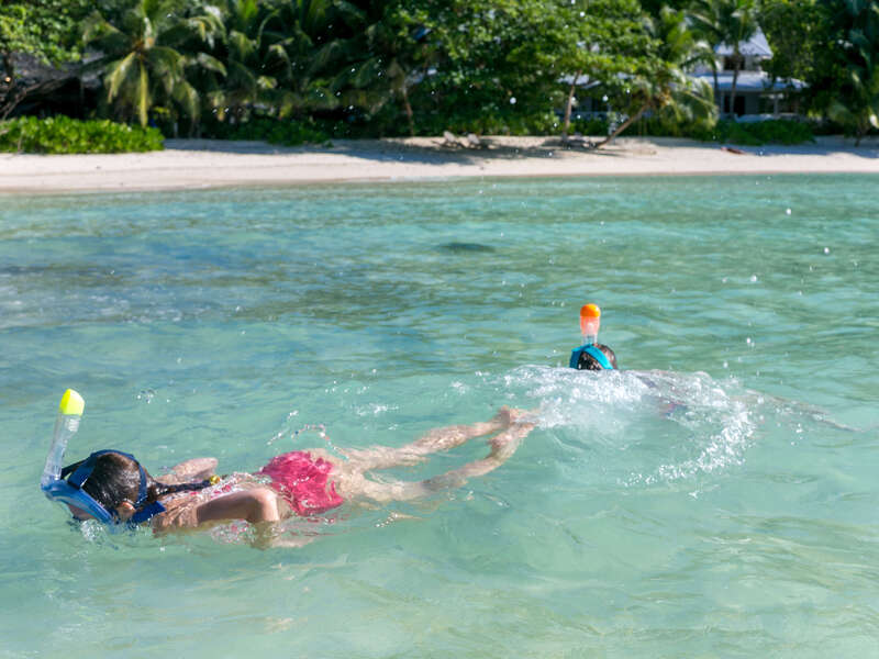 la_belle_tortue_24_-559