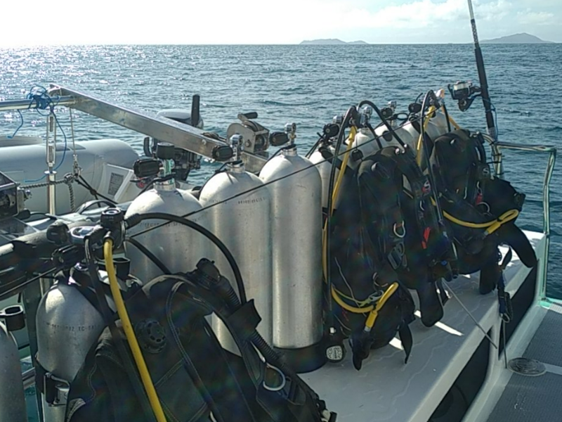 screenshot_2026-03-13_110602