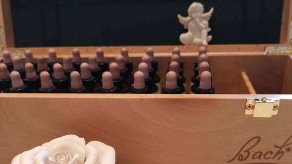 Fleurs de Bach [VIDEO à voir ou à revoir] 2