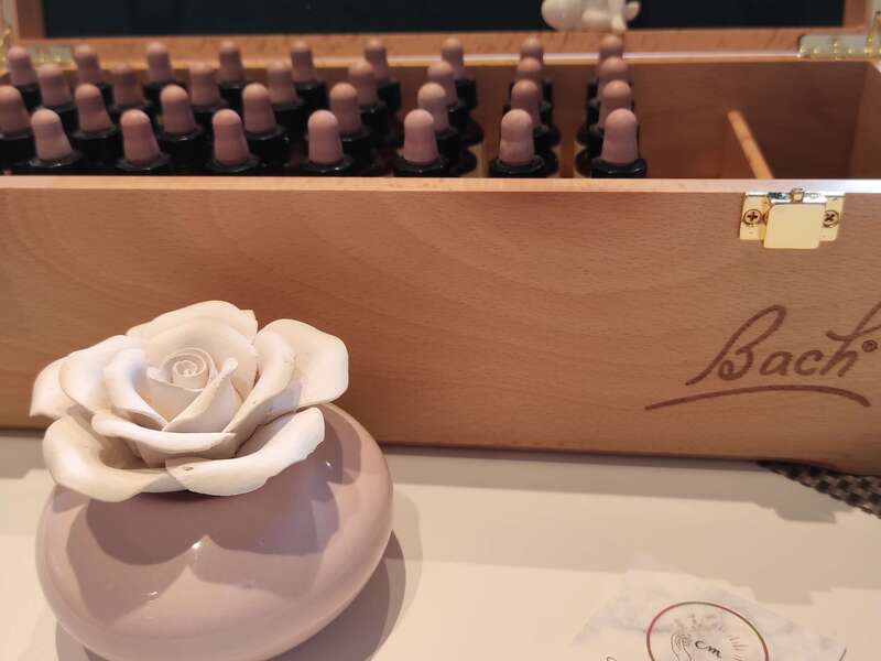 espace_mieux_etre_christelle_metton_fleurs_de_bach20250923-4095640-l7aed220250923-4095640-28tt75