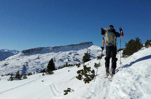 Courrier Décembre 2014 de l'Association Française de Chiropraxie.