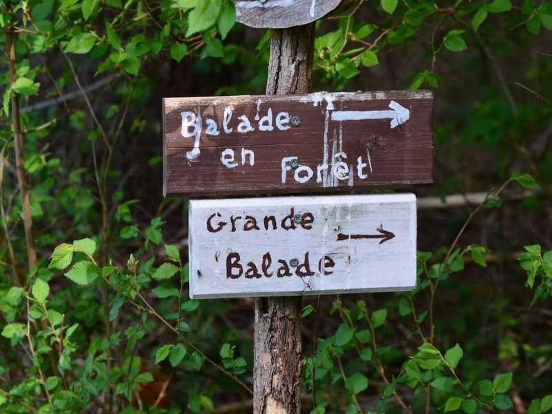 32dbb7_e4f3a200eed04b45a66fe4cef1e360af_mv2