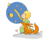 petit prince nature contemplation