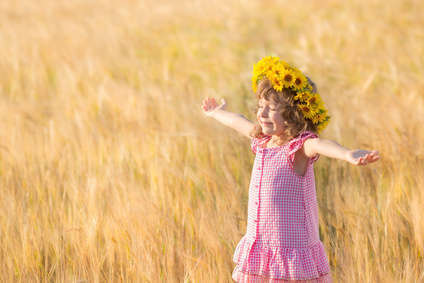 Des îles de tournesols