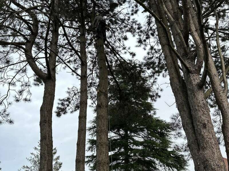 71889281394__0aeb06d1-3375-4987-8eb5-9a1c2fe0629a