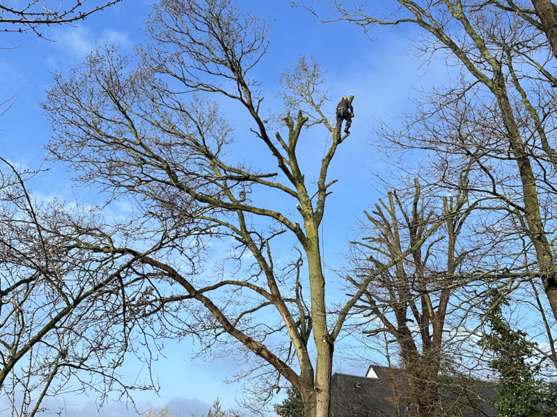 capture_d_ecran_2024-03-07_a_12-30-36