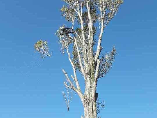 image120190708-3105368-a9swxe