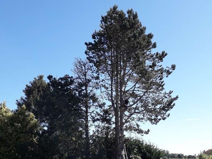 image220190708-3105368-12zmff5