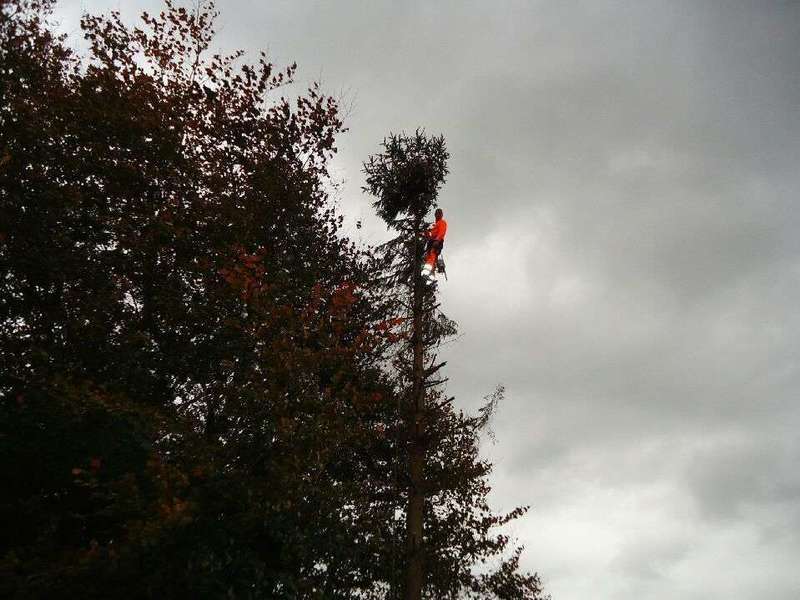 image420190708-3105368-12i0zqr