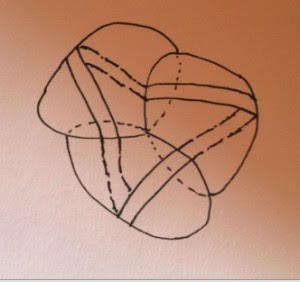 Superfici e nodi : questioni cliniche sulla omotopia