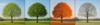 Le cycle des saisons