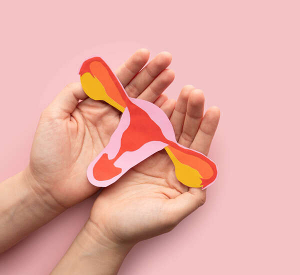 Endomaîtrise, programme multimodal novateur de prise en charge de l'endométriose