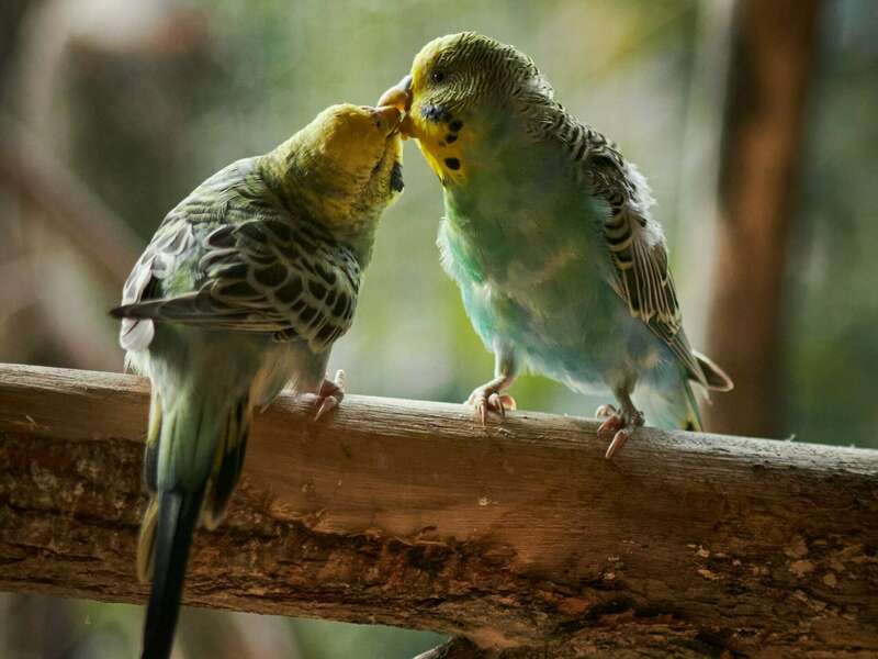 perfectmirror-f5xgrdv5yxk-unsplash