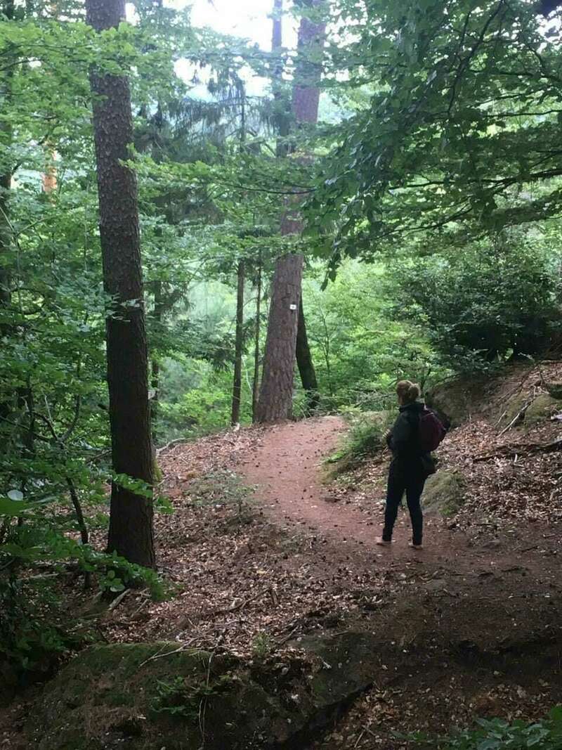 107429070_1443589745825567_6081743631877893648_o