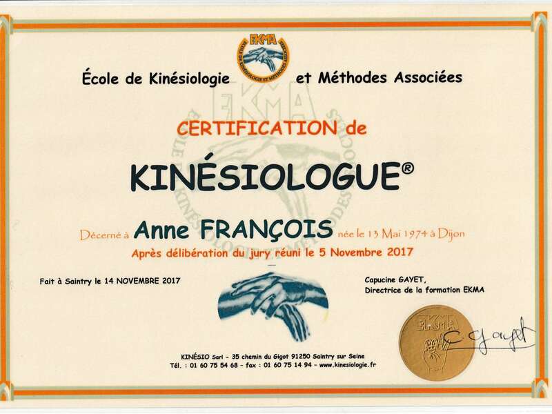 kinesilogie20201127-3378172-109oziq