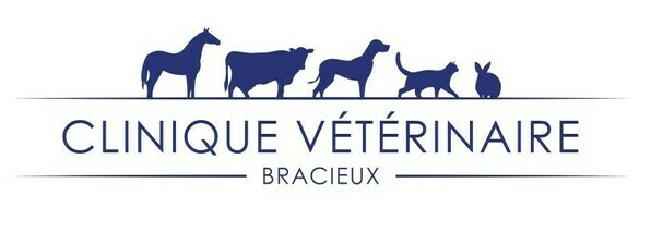 Logo Clinique vétérinaire de Bracieux