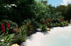 piscine-lagon