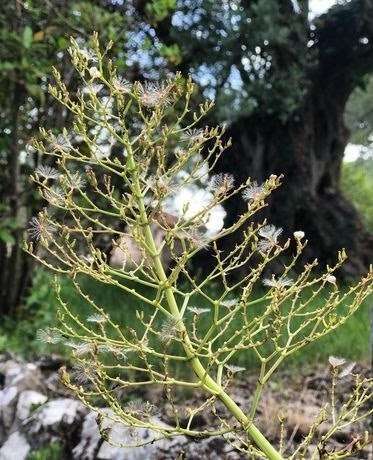 Prendre soin de notre respiration