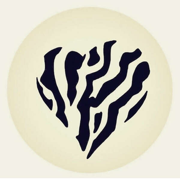 LA SIGNIFICATION DU ZÈBRE 