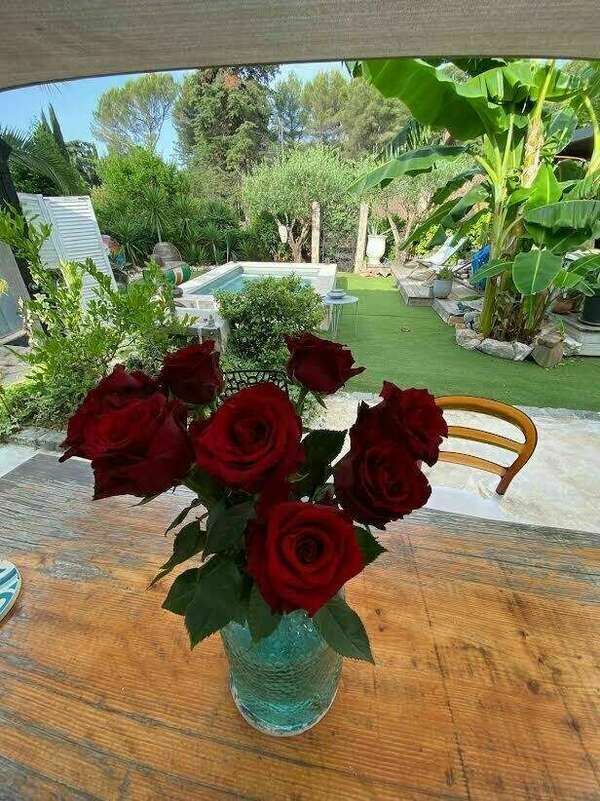 QUAND LA LUMIÈRE GUERIT LES BLESSURES