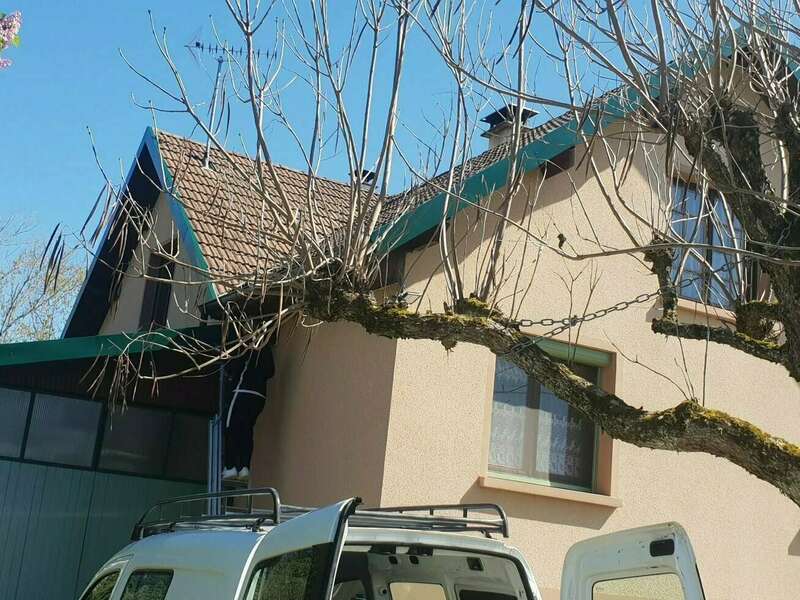 resized_20210408_145543