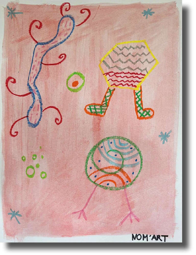 ateliers_s5_couleurs